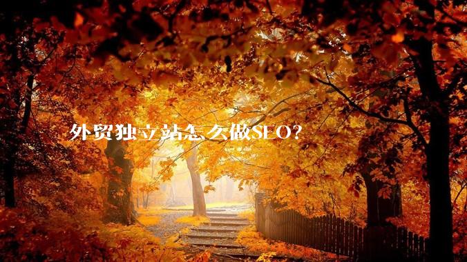 外贸独立站怎么做SEO？