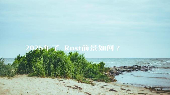 2025年了 Rust前景如何?