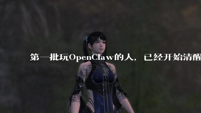 第一批玩OpenClaw的人，已经开始清醒了_sensen_部署_用户
