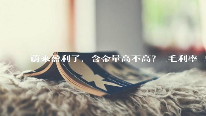 蔚来盈利了，含金量高不高？_毛利率_单车_代闪充