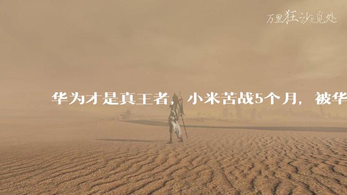 华为才是真王者，小米苦战5个月，被华为3个月就翻盘了！_Mate_销量_旗舰