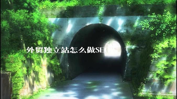外贸独立站怎么做SEO？