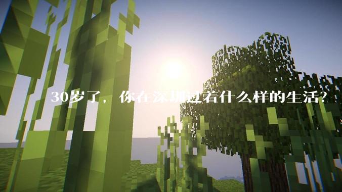 30岁了，你在深圳过着什么样的生活？
