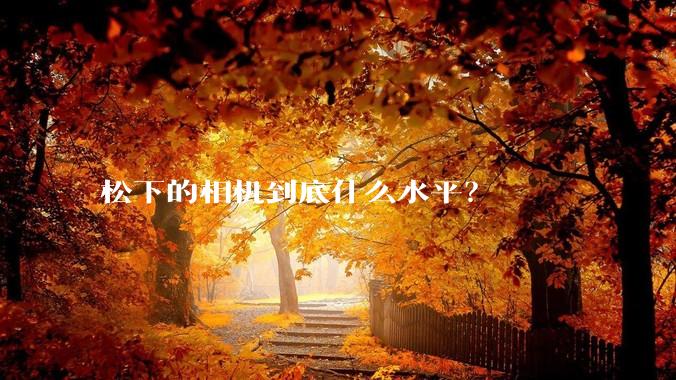 松下的相机到底什么水平？