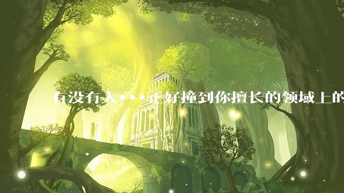 有没有人***正好撞到你擅长的领域上的？