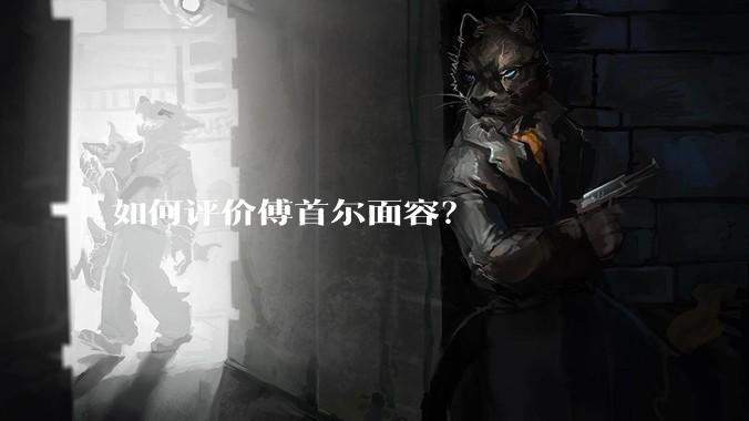 如何评价傅首尔面容？