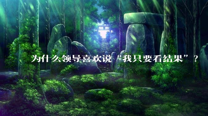 为什么领导喜欢说“我只要看结果”？