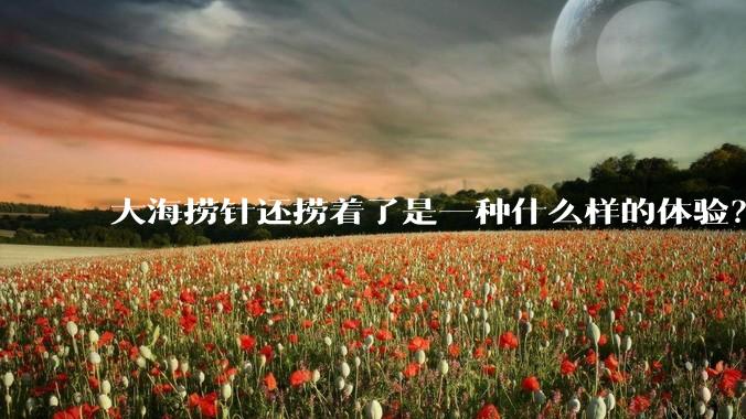 大海捞针还捞着了是一种什么样的体验？