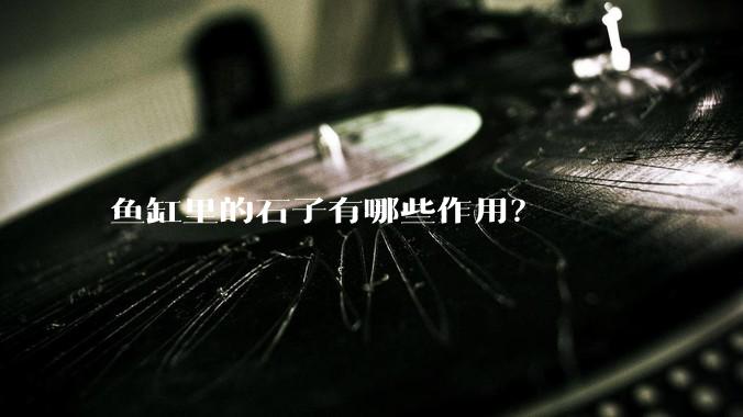 鱼缸里的石子有哪些作用？