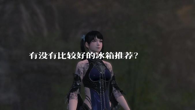 有没有比较好的冰箱推荐？