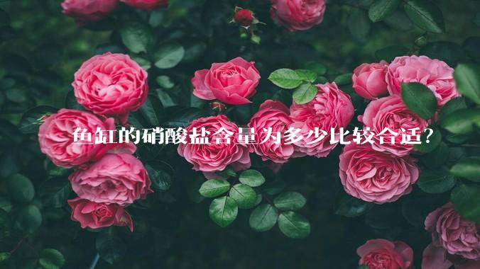 鱼缸的硝酸盐含量为多少比较合适？