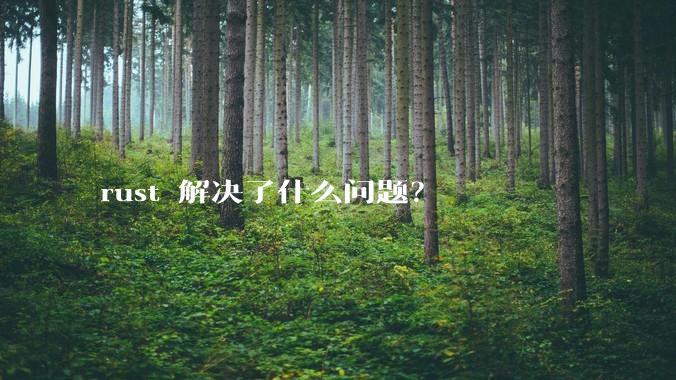 rust 解决了什么问题？