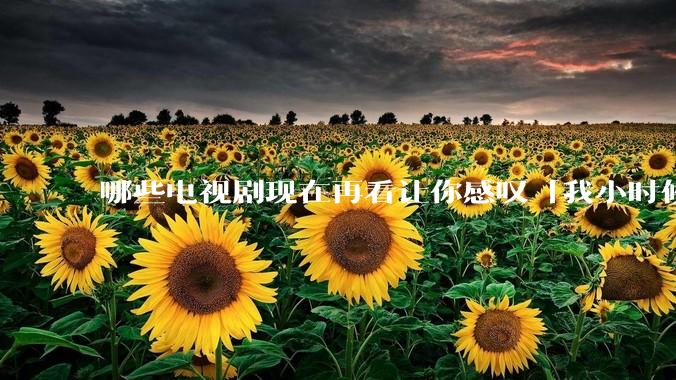 哪些电视剧现在再看让你感叹「我小时候吃这么好」？