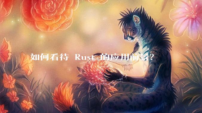 如何看待 Rust 的应用前景？