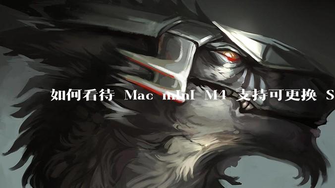 如何看待 Mac mini M4 支持可更换 SSD？
